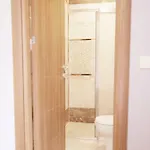 The Zanadu 3*