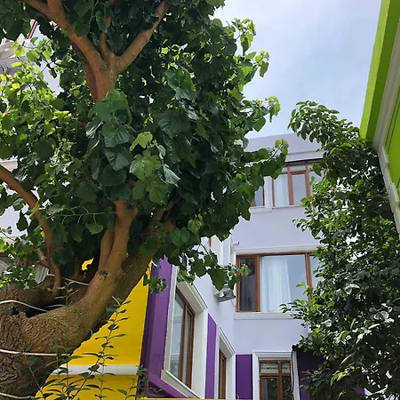 Hotel The Zanadu Istanbul
