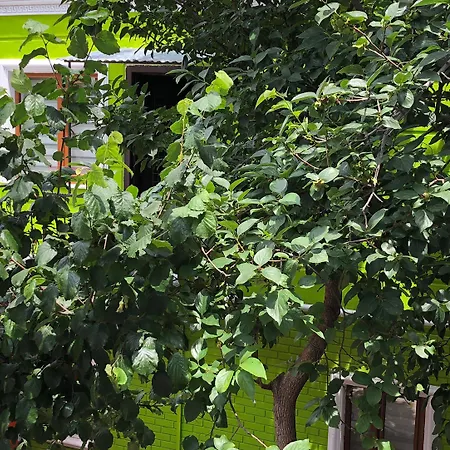 The Zanadu Ξενοδοχείο Κωνσταντινούπολη